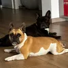 tinadivivo6