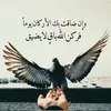 useraammaanneeaa