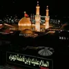 93saly