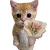 ailin.aai