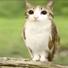 mrbebrochkar
