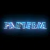 ns_panteria