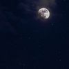 starinsky0_