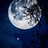 moonlightvr1543