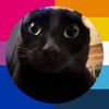 ebonythecat