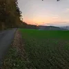 dyda_cz