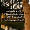 shakahalshukily