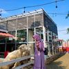 chiedesi_suci_guntari