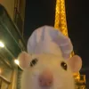 user0003458_