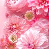my.life.is.beautiful4