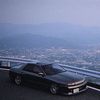 cvnn99