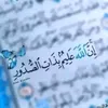 user49515305161355
