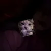 amink_42