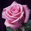 user5626147716180