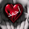 kin.cik7