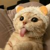 jalexz_nothere