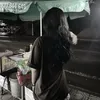 gh_n276