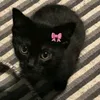 oliviqrw