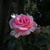 user1837911619418