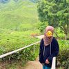 nalis4_