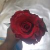 farhanaakhter87