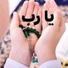 moner..badr