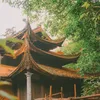 giahuytran0407