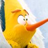 empatyboy
