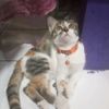 evie.vie3