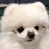 chanbed2