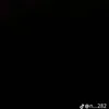 rrss_2009