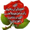 zantour.antar