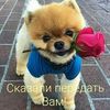 user4224269362430