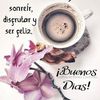 paulino.bueno4