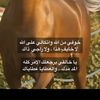 user272610008769