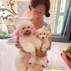 m.phng524