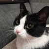 user025449118