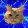 caty.bara