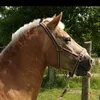 oswin065