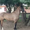 ezequiel.dos.sant037