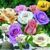 basma.bayoumy