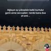 user9819116165539