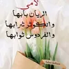 naima.061175