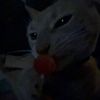 spilo_2o4