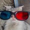 rufi_027