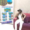 dennismuchiri949