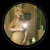 pedro_10_cipo