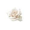 marianneblanchard98