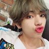 taeoutdidflops