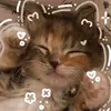 iloveenhypen1272